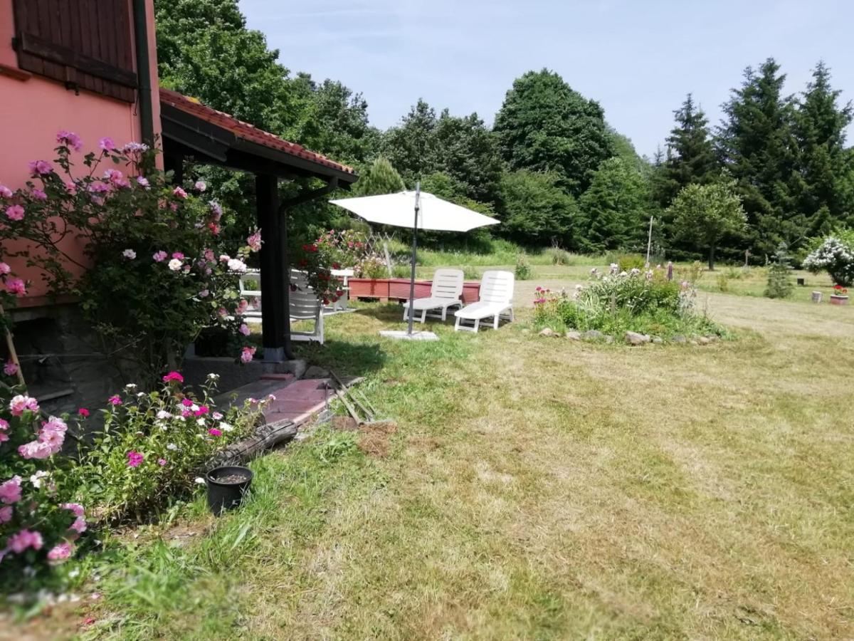 Il Pettirosso Di Giusvalla Exterior foto